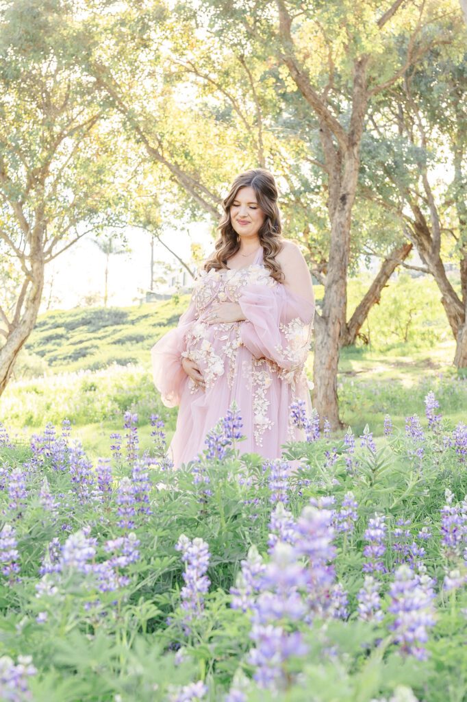 Orange County maternity photographer taking photos of mom in lupines during a maternity session