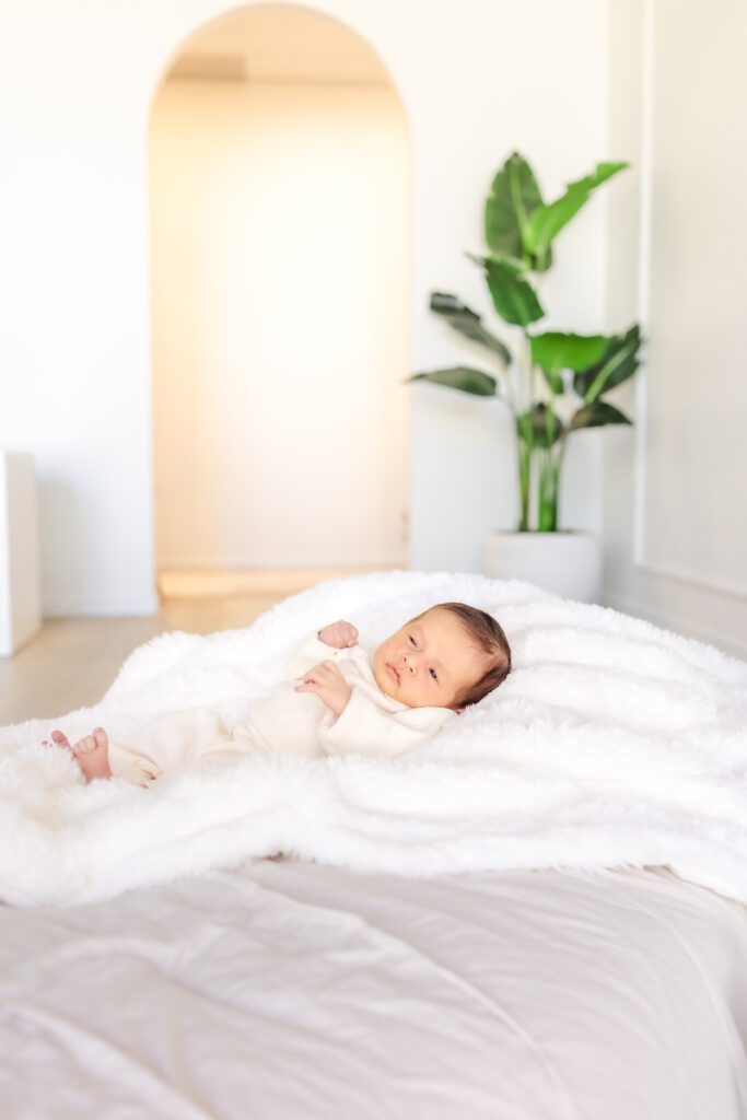 Studio newborn session orange county erin custer photo